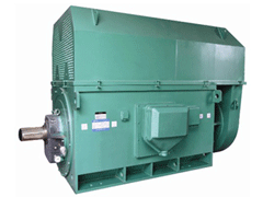 YJTFKK5001-2Y系列6KV高压电机