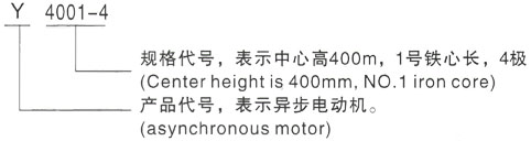 西安泰富西玛Y系列(H355-1000)高压YJTFKK5001-2三相异步电机型号说明