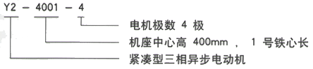 YR系列(H355-1000)高压YJTFKK5001-2三相异步电机西安西玛电机型号说明